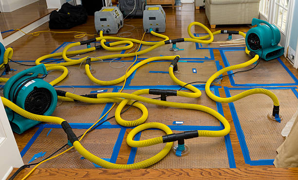 Professional Water Damage Repair technician working in Bailey, TX